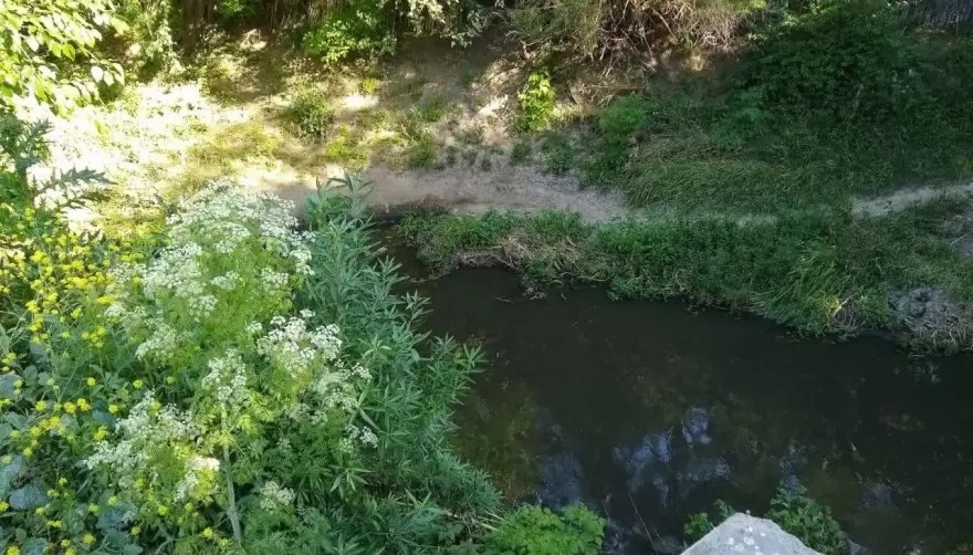 Siguen las denuncias por olores nauseabundos en el Arroyo Rodríguez de City Bell