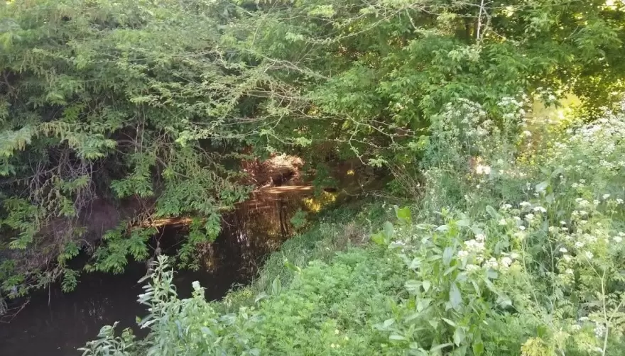 Siguen las denuncias por olores nauseabundos en el Arroyo Rodríguez de City Bell