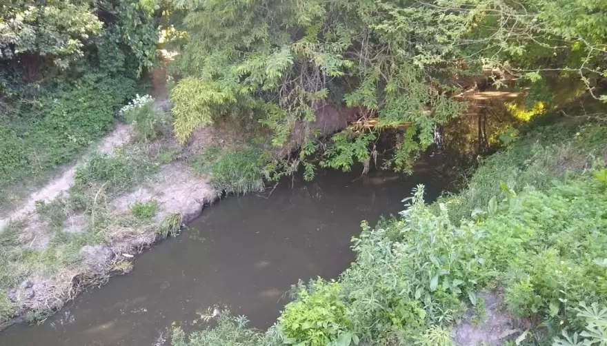 Siguen las denuncias por olores nauseabundos en el Arroyo Rodríguez de City Bell