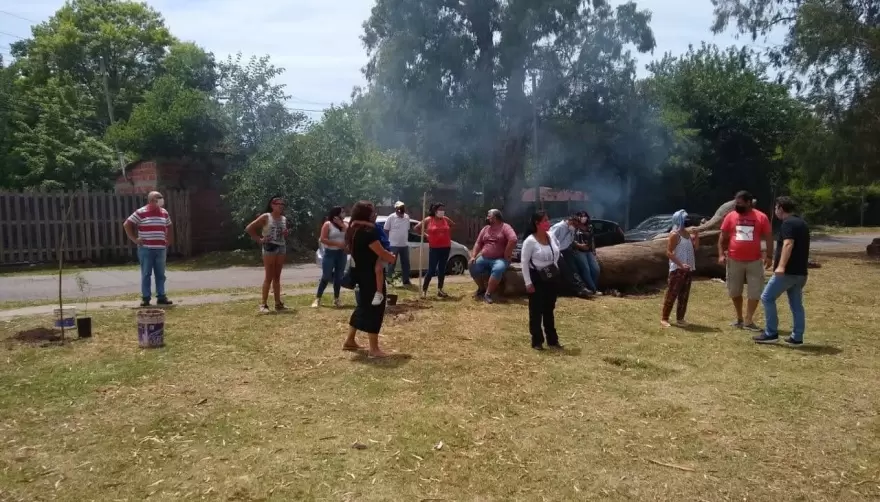 Plantaron árboles y promovieron el uso de ladrillos ecológicos en Plaza La Emilia