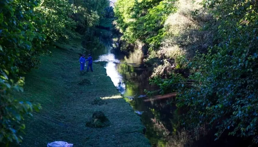 Apareció el informe de la Autoridad del Agua sobre el Arroyo Rodríguez