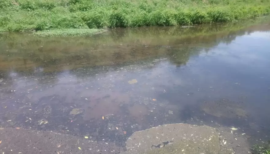 Confirmado: El Country Grand Bell y el Frigorífico Gorina son los responsables por los malos olores y la contaminación del Arroyo Rodríguez