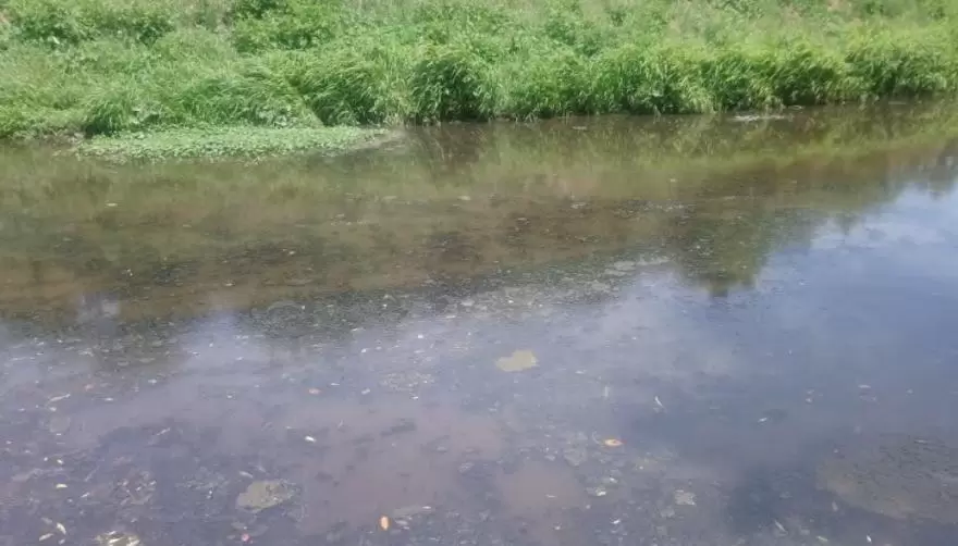 No es sólo el Grand Bell: Conocé las intimaciones que la Autoridad del Agua presentó ante los Barrios Privados de City Bell