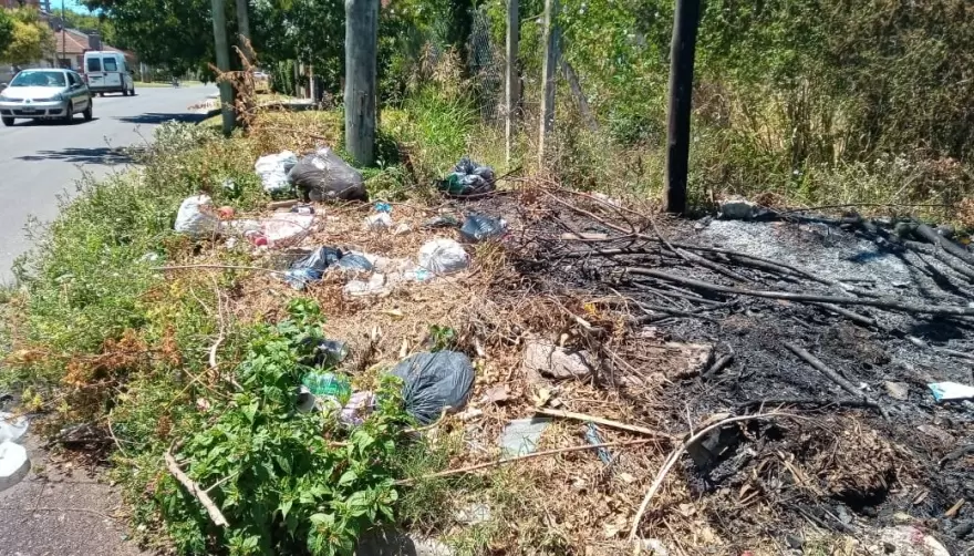 Vecinos de City Bell denuncian un basural a cielo abierto