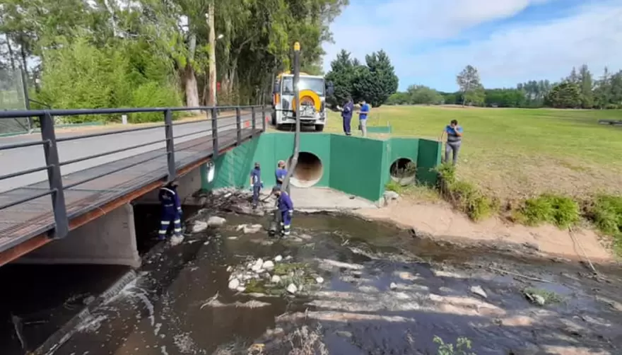 Reuniones, planes, moscas y campañas: Lo único cierto es que siguen los malos olores en el Arroyo Rodríguez
