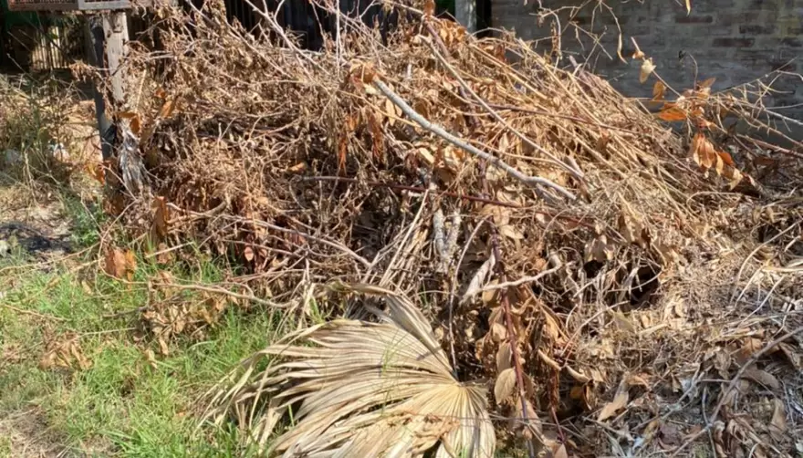 Basura acumulada: En City Bell los ladrones la usan para esconderse