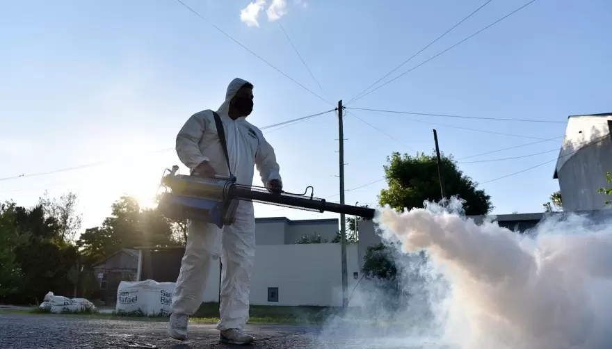 Invasión de mosquitos: Cuidados claves por peligro de Dengue