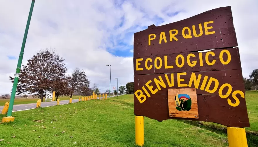 Plantas silvestres comestibles: Charla y degustación en el Ecológico
