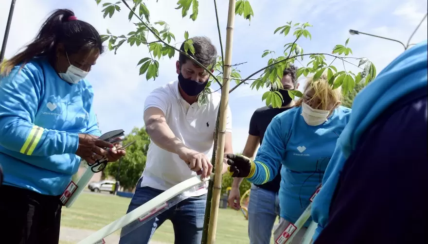 Ciudad Verde: ¿En qué consiste el "Plan de Forestación 20-25"?