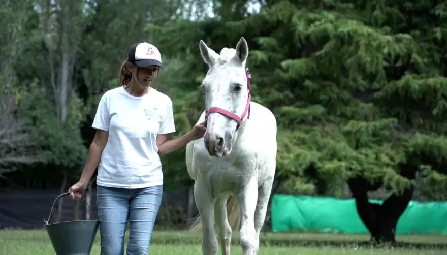 Video: Más de 400 animales ya fueron asistidos en Arturo Seguí