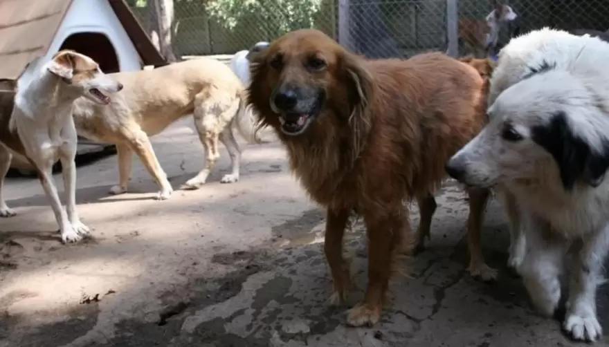 El histórico refugio "Titucha" de Arturo Seguí necesita nuestra ayuda