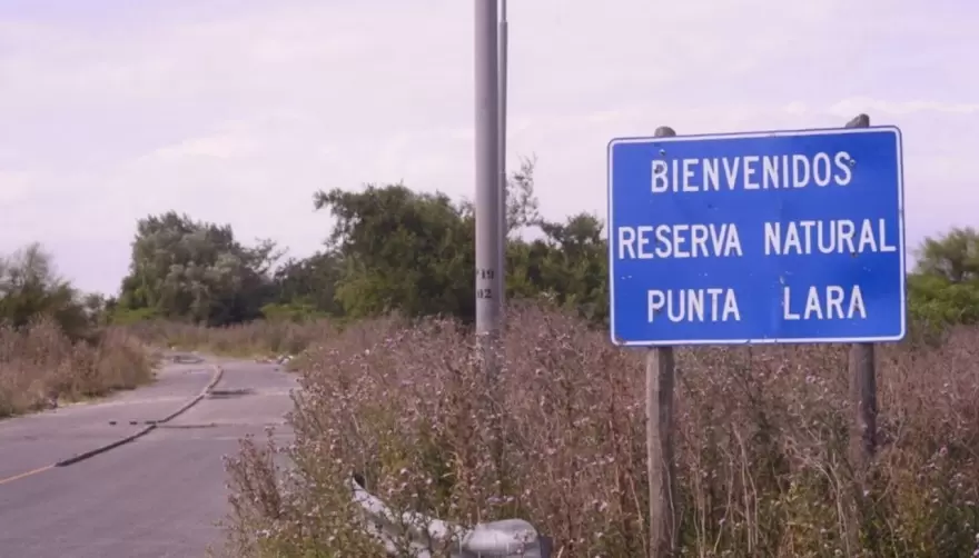 Campaña online para recuperar el "Camino de la Muerte" de Villa Elisa