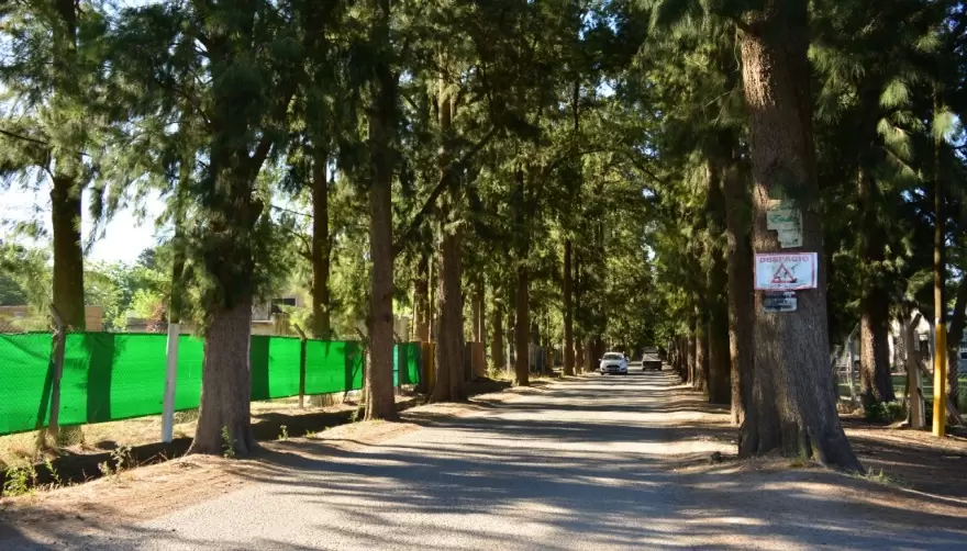 Cáritas, Municipio y Vecinos: Polémica cesión de tierras en El Rincón