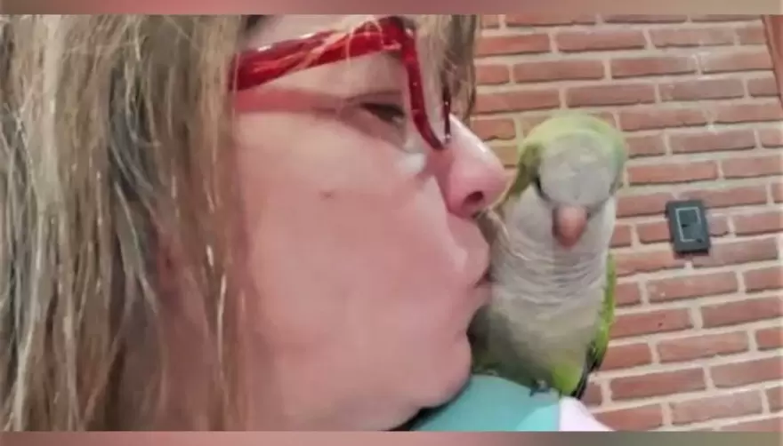 Volvió tras 5 años: La historia de Paulie y su familia de City Bell