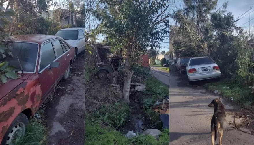 "Cementerios de autos": Una práctica que preocupa en la Zona Norte