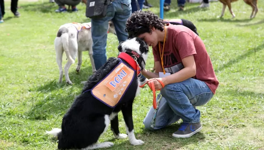 Vacunación y atención veterinaria gratuita en La Repu este miércoles
