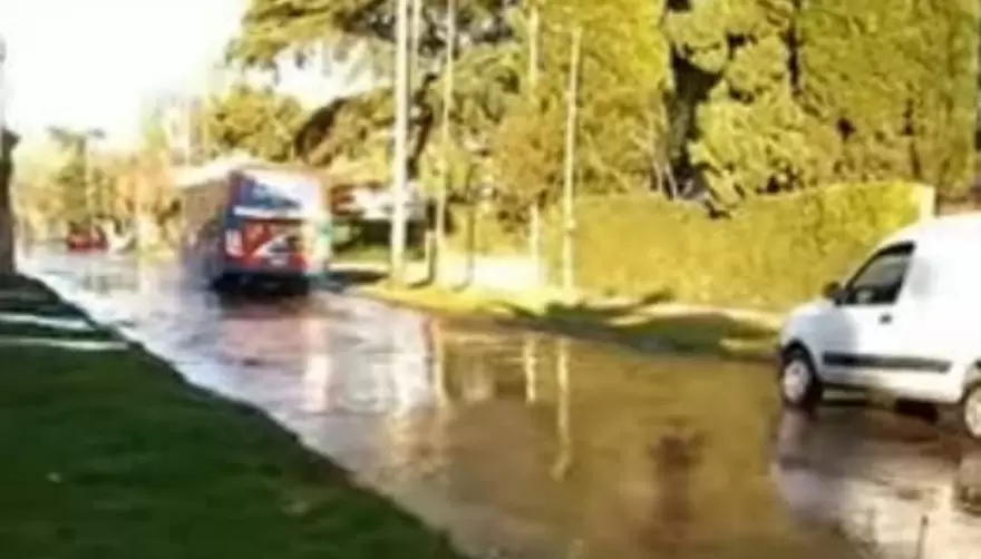 Video: ¿City Bell o Venecia? Vecinos denuncian graves pérdidas de agua