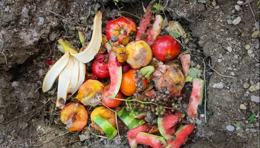 Compostera Comunitaria y capacitaciones en Agroecología en City Bell