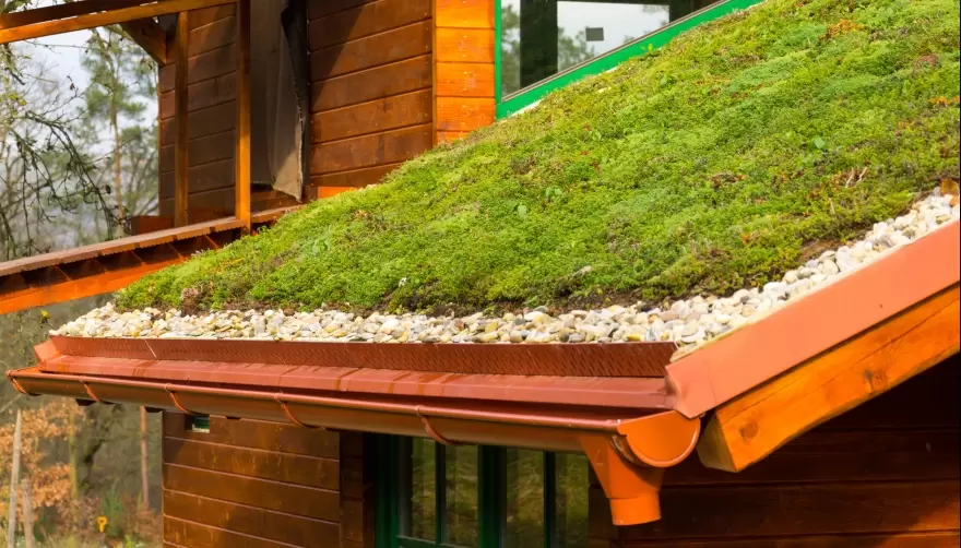 Curso gratuito en el Parque Ecológico: ¿Cómo construir un "techo verde"?
