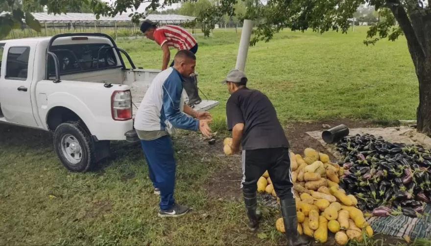 De Gorina a Arturo Seguí: Desde la Unidad 12 donaron 275 kilos de verdura