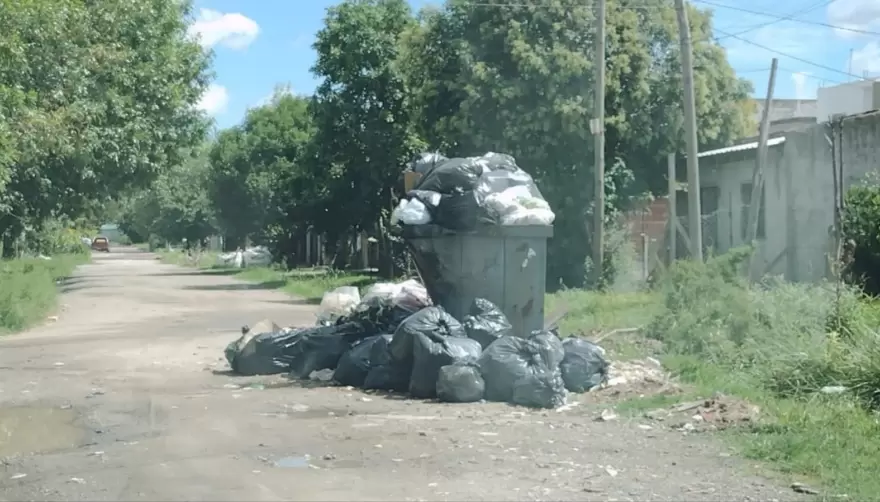 Se acumula la basura en El Rincón: ¿Qué dicen los vecinos?