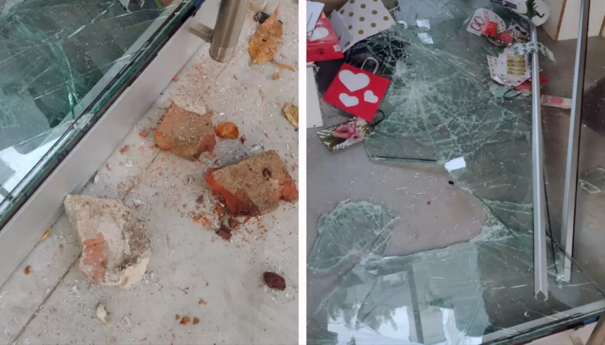 Robo y destrozos en librería de City Bell: Los "Tira Piedras" en la mira