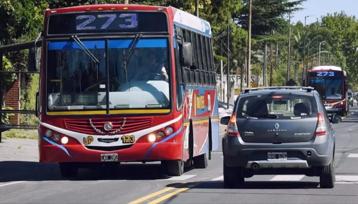 🚍 Micros, frecuencias y recorridos: ¿Cómo mejorar el servicio en la Zona Norte platense?