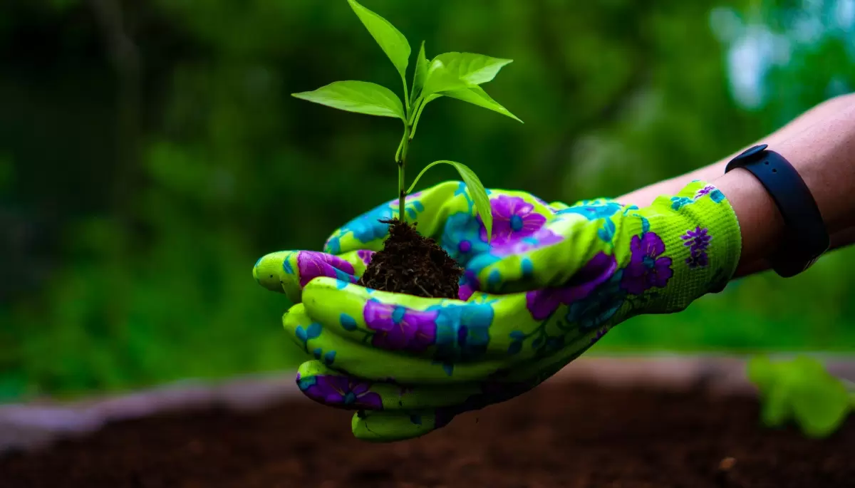 Parque Ecológico Municipal: ¿Cuándo se realizará el 10° Encuentro de Intercambio de Semillas?