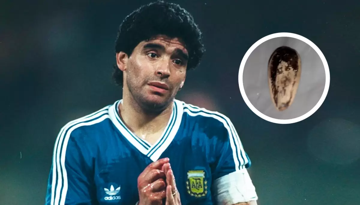 Diego Eterno: La historia de la semillita de Maradona que realiza milagros en City Bell