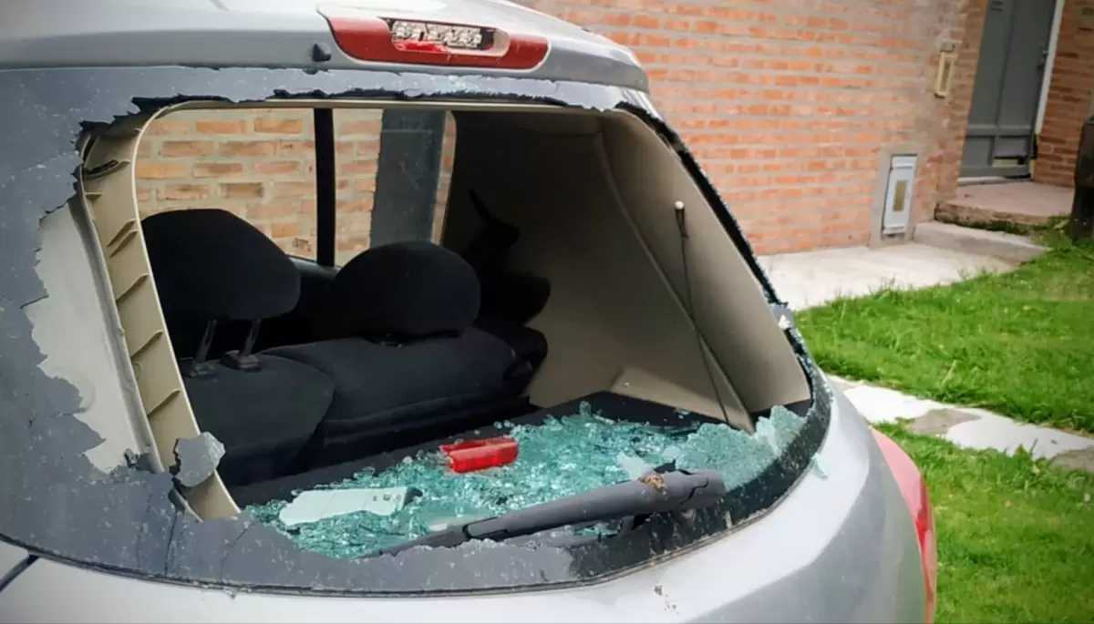 Video: Mirá el ataque en manada de los rompecoches en City Bell