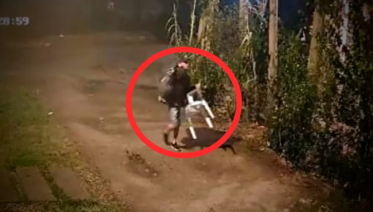 Video: Así saltan paredones para robar en un reconocido barrio de la Zona Norte platense