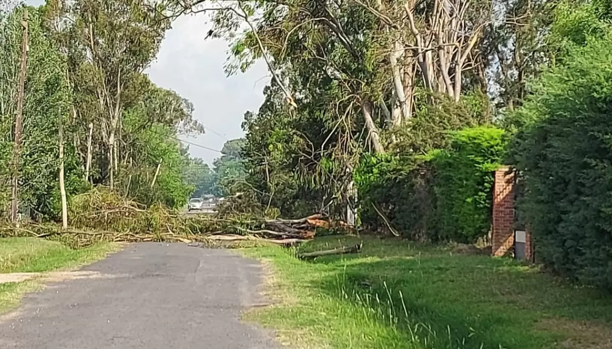 Pasó otra tormenta y la luz se volvió a cortar en City Bell, Gonnet y Gorina ¿Qué dice EDELAP?