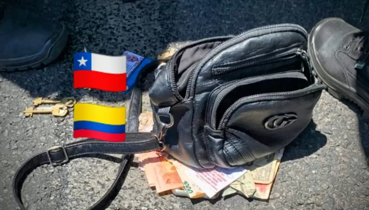De Chile y Colombia a robar en City Bell y Gonnet: Cayeron 8 ladrones extranjeros