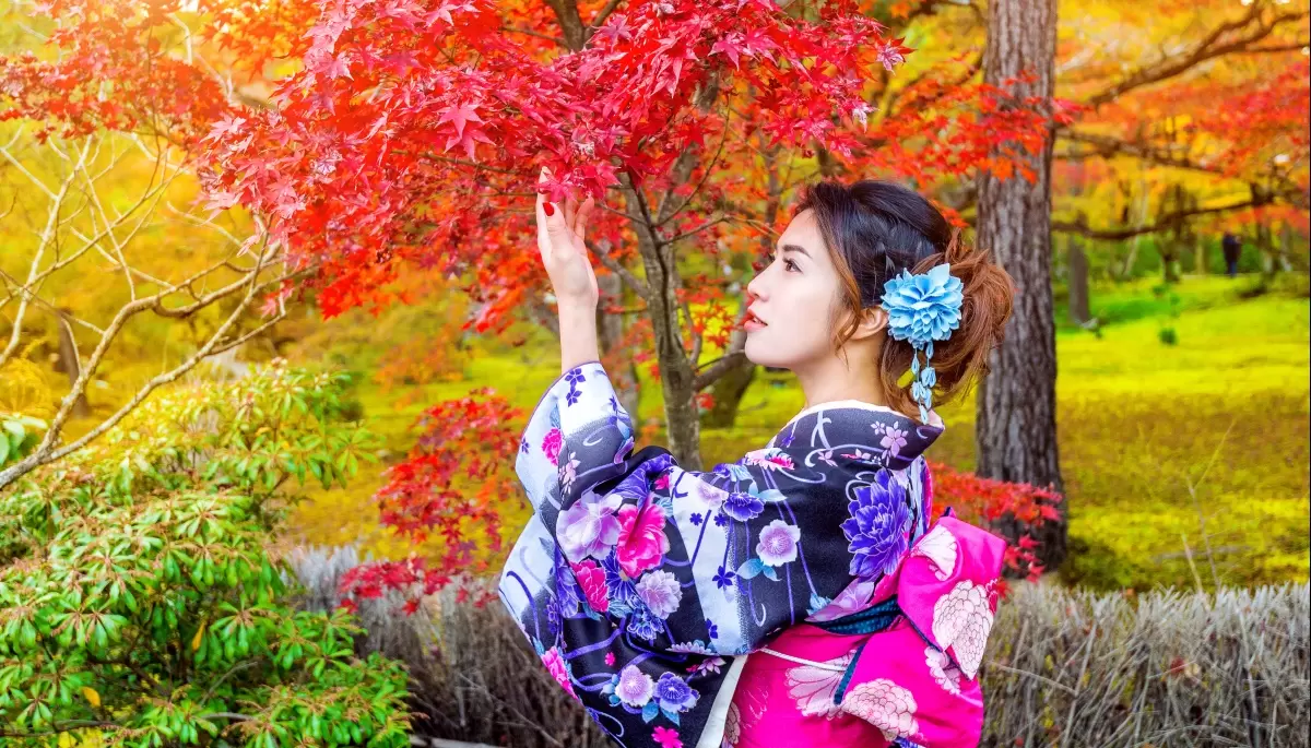🎉 Febrero recargado en City Bell, Gonnet y Villa Elisa: Bon Odori, Fiesta del Tomate, Walking Tour y Carnavales