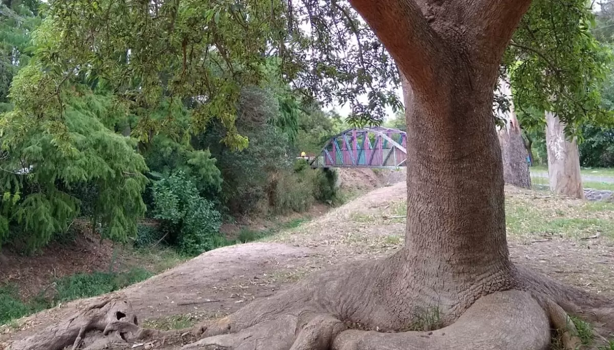 Gonnet: Piden poner en valor histórica plaza ubicada en un Área Ecológica Protegida