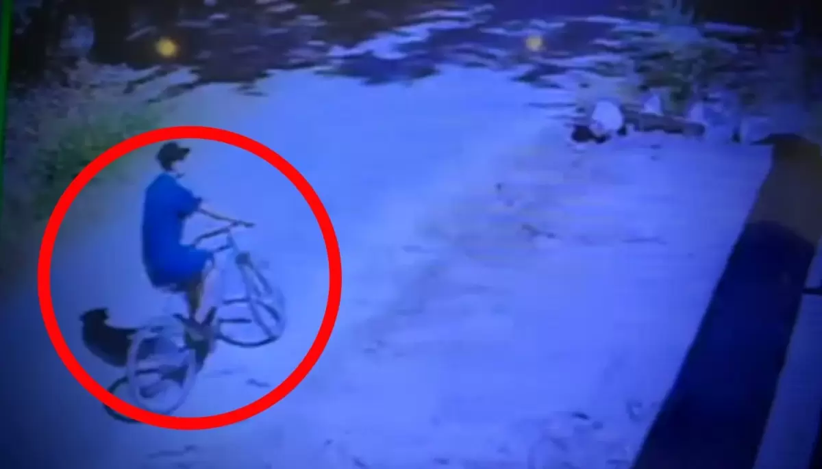 Video: Así roban bicicletas dentro de las casas en Arturo Seguí