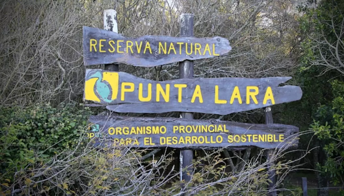 📧 Correo de Lectores: ¿Por qué no se debe repavimentar el Camino Negro que une a Villa Elisa con Punta Lara?