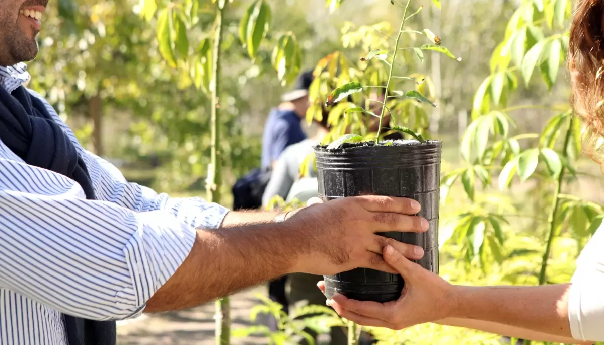 🌳 Récord absoluto en Villa Elisa: ¿Cuántos árboles entregó el Parque Ecológico por el Día de la Tierra?