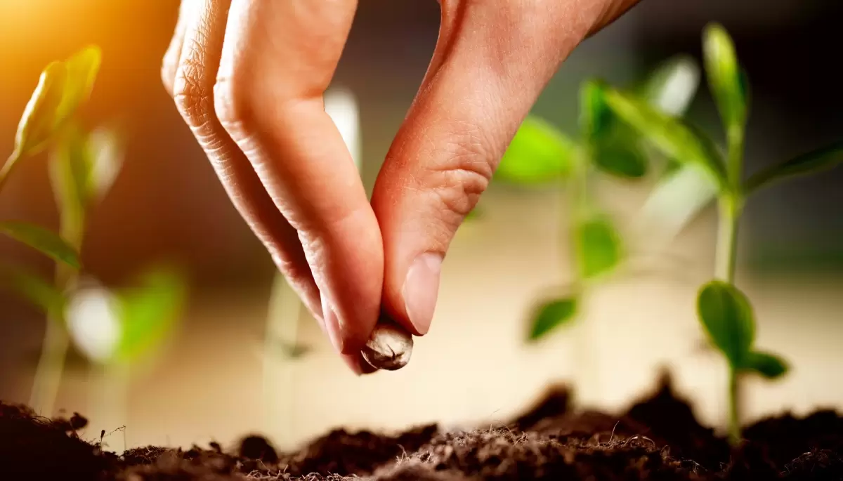 🌱  El 13° Encuentro de Intercambio de Semillas llega a Villa Elisa ¿De qué se trata?