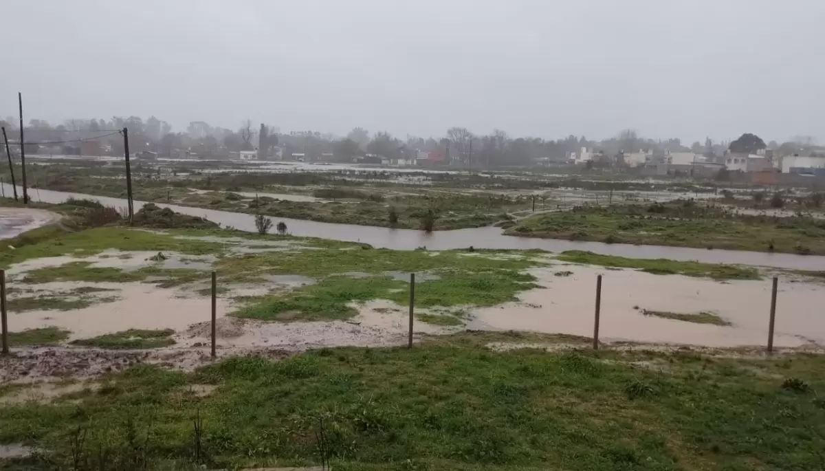 🟢 Video: Suspenden clases por desborde del Arroyo Carnaval