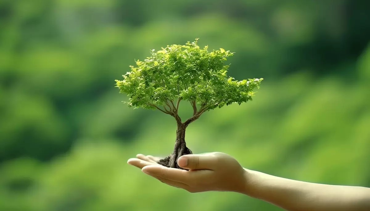 🌳 Día Nacional del Árbol: Reflexiones de Graciela Ramírez Gronda, especialista de Gorina