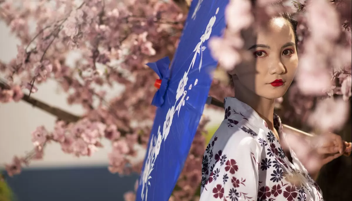 ⛩️ Bon Odori 2024: Precio de entrada, estacionamiento y todo lo que hay que saber