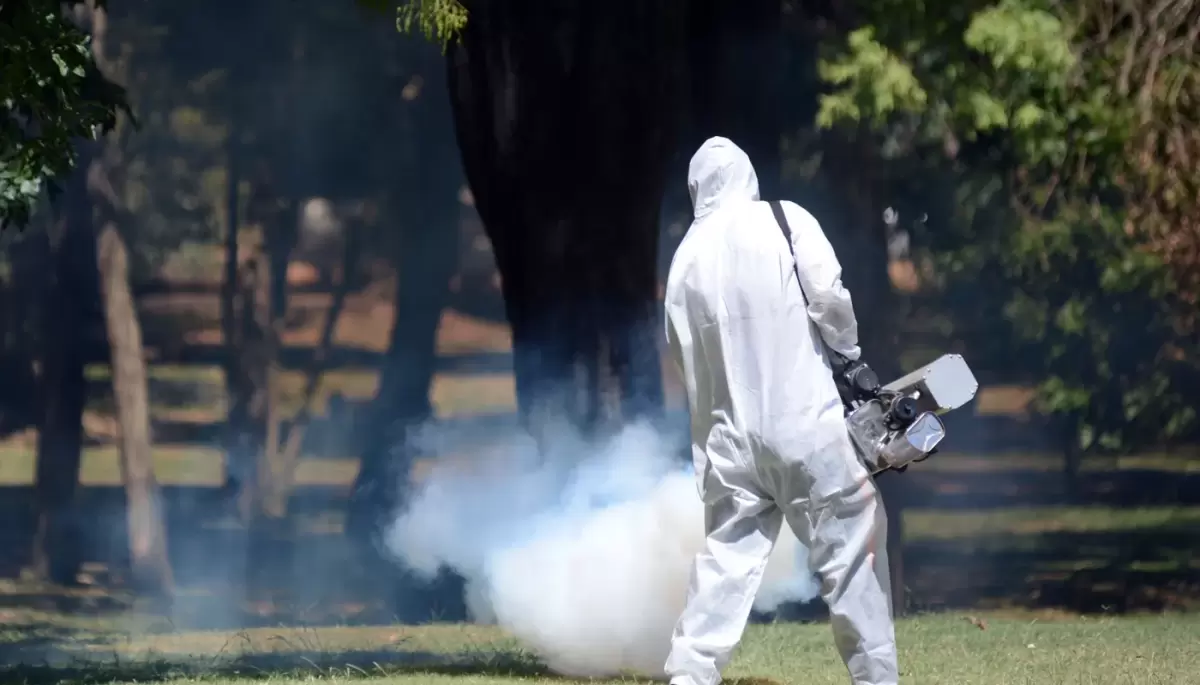 🦟 Jueves 18: Avanza el plan de fumigación en City Bell, Gonnet, Villa Elisa, Arturo Seguí y Hernández