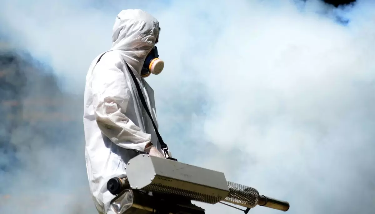 🦟 ¿Qué calles de Villa Elisa, Gonnet y Arturo Seguí fumigará la Municipalidad de La Plata?