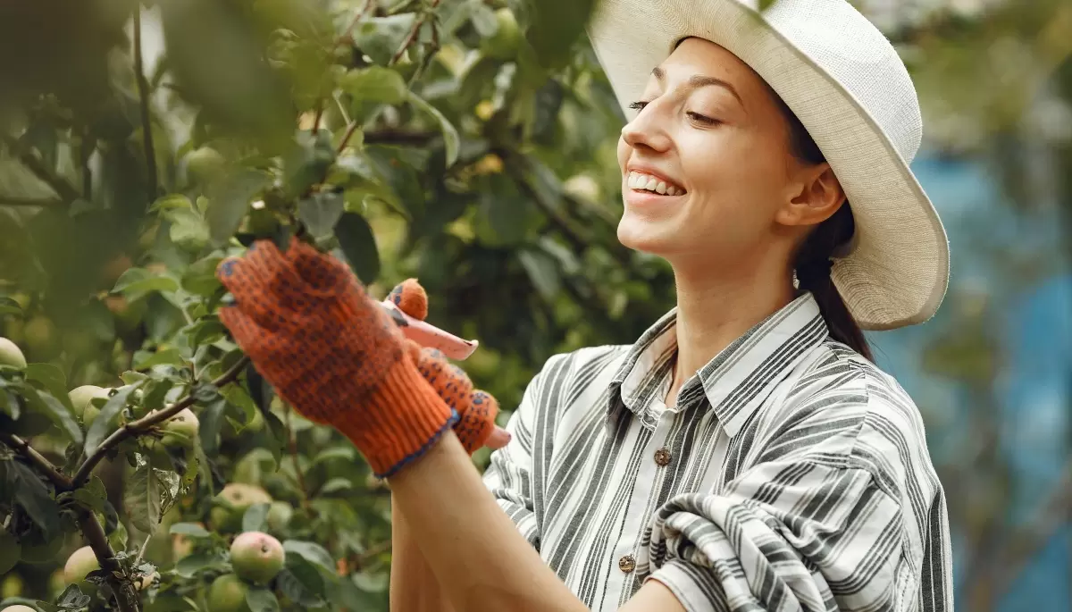 🌸 10 plantas silvestres y saludables para recolectar y comer durante febrero
