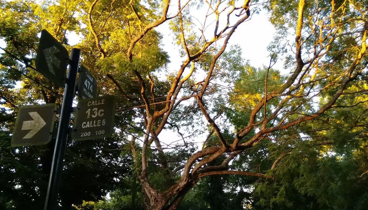 🚶 ¿Conocés todo sobre City Bell? Sumate al Walking Tour de la Municipalidad de La Plata