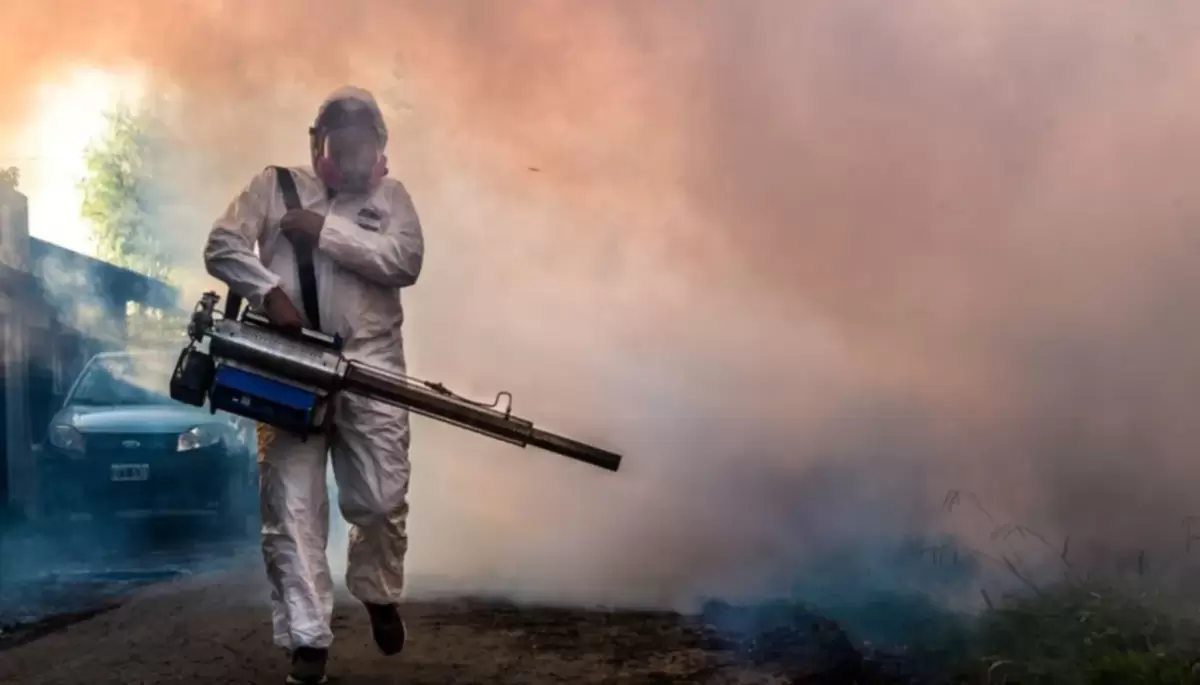 🦟 La Municipalidad de La Plata fumigará en City Bell, Villa Elisa y Villa Castells: ¿Cuándo y dónde?