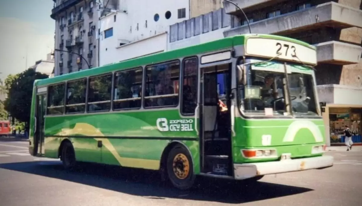 🚍 ¿Adiós al Rondín del 273 de Villa Elisa?