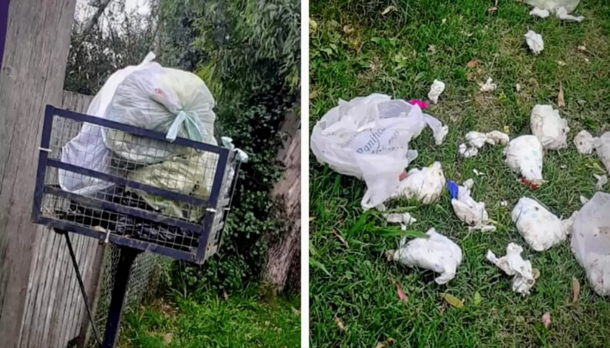 🚯 2 meses con basura: Piden respuestas a ESUR y a la Municipalidad de La Plata