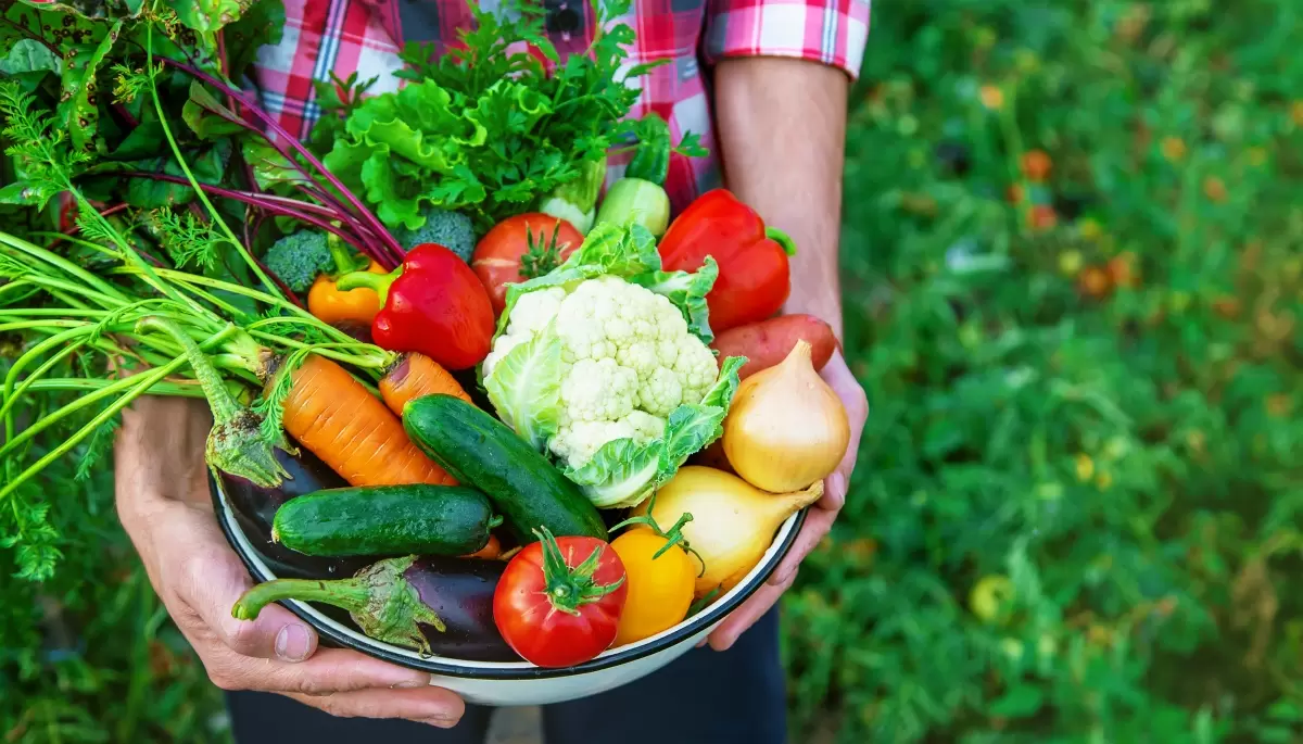 💰 Vuelve la Feria Verde a Villa Elisa con súper ofertas de productores locales